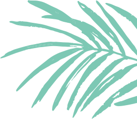 Palmera verde - Cuero, papel y tijera